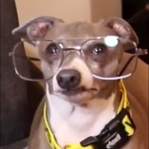 Meet your Posher, Kassidy